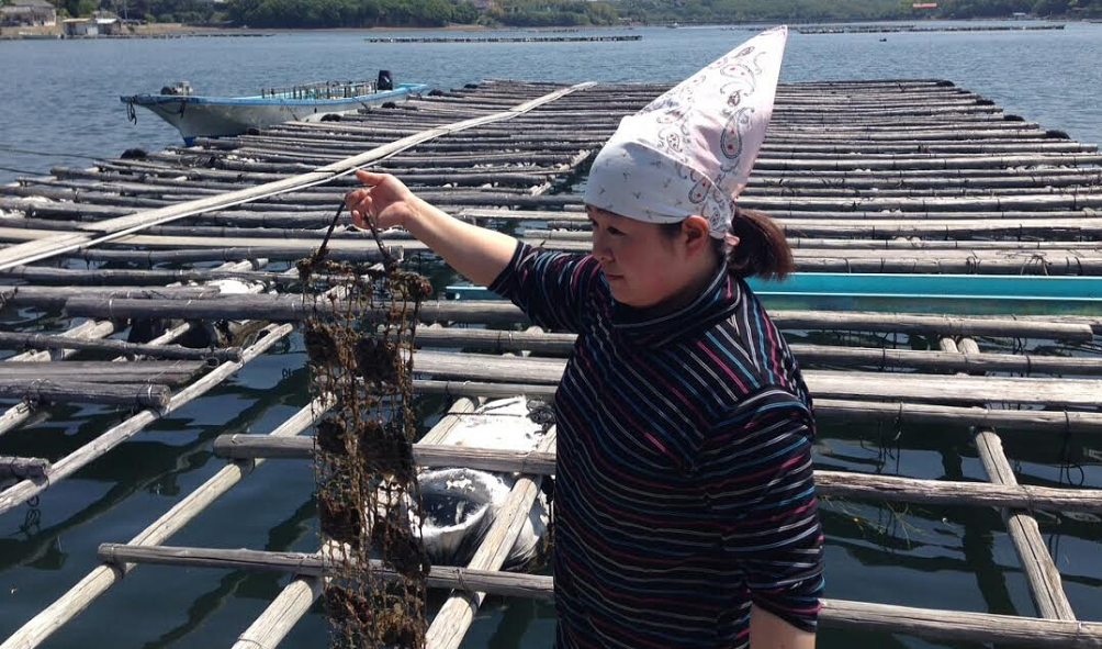 Japanese Akoya Pearl Farm // Ise Shima, Japan